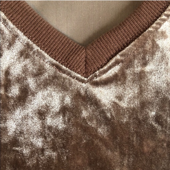 $5️⃣for$2️⃣5️⃣🍑✨Mauve Velvet V-neck by Z Supply - Picture 5 of 5